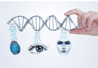 塞伯羅斯門禁系統生物識別技術